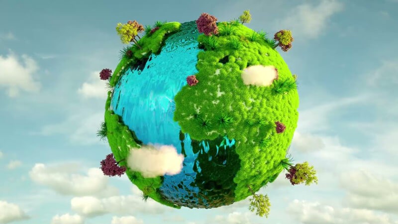 Nhân tố sinh thái chính là các nhân tố có thể tác động đến quá trình sống của mọi loài sinh vật trên trái đất