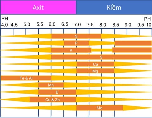 Tác động của chỉ số pH đất đến dinh dưỡng trong đất