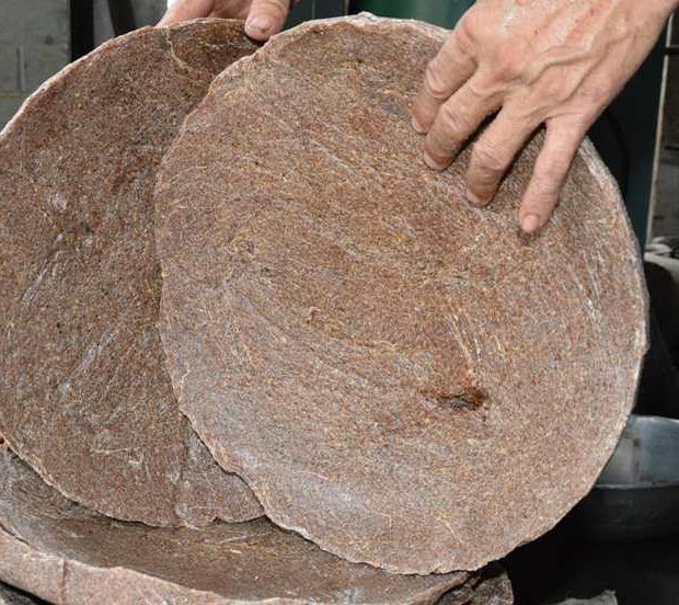 Phân bánh dầu là gì?