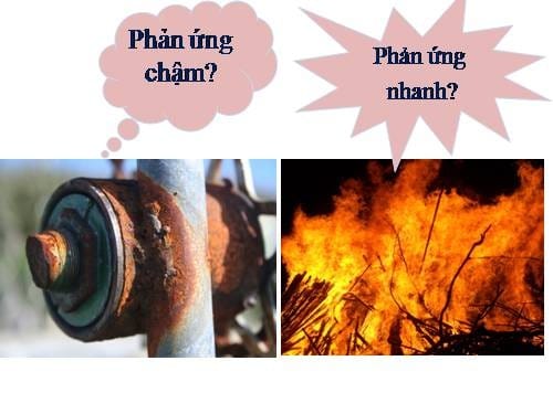 Tốc Độ Phản Ứng