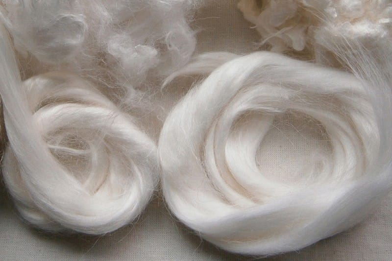 Vai trò của xenlulozo