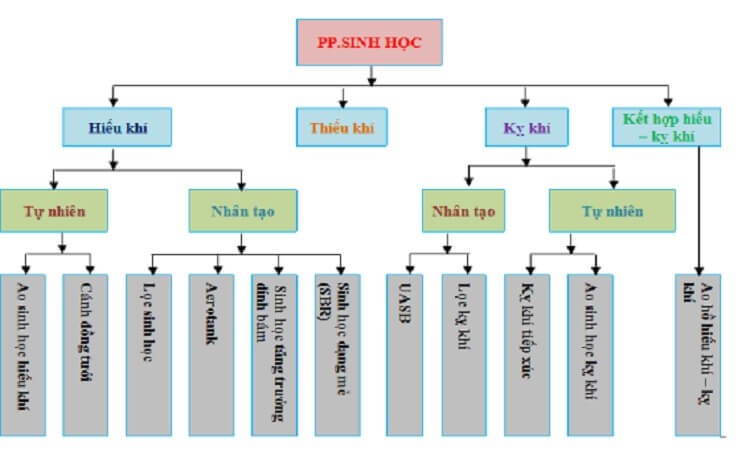 Xử lý nước thải bằng phương pháp sinh học
