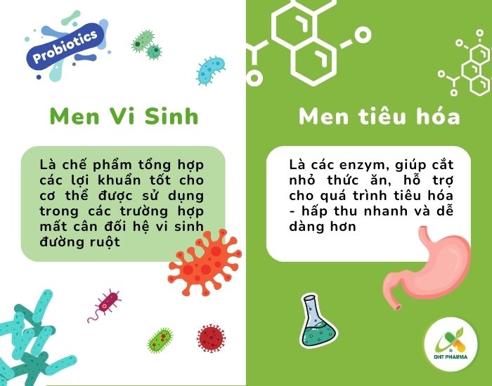 Men Vi Sinh Là Gì?